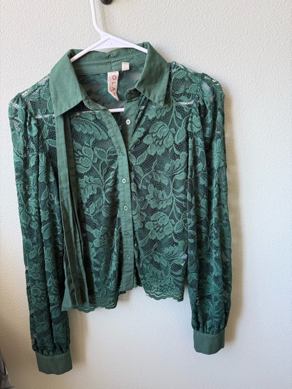 Anthropologie Dolan Forest Green Lace Button-Up Blouse